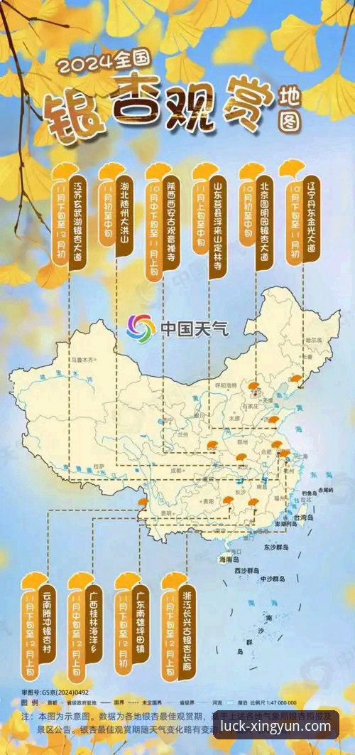 杏运娱乐平台的3大核心优势与未来趋势分析